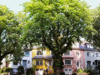 Baum, Haus, Stadt, Straße