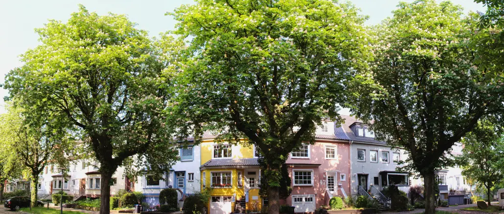 Baum, Haus, Stadt, Straße