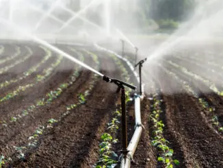 Wasser; Feld; Wasserversorgung