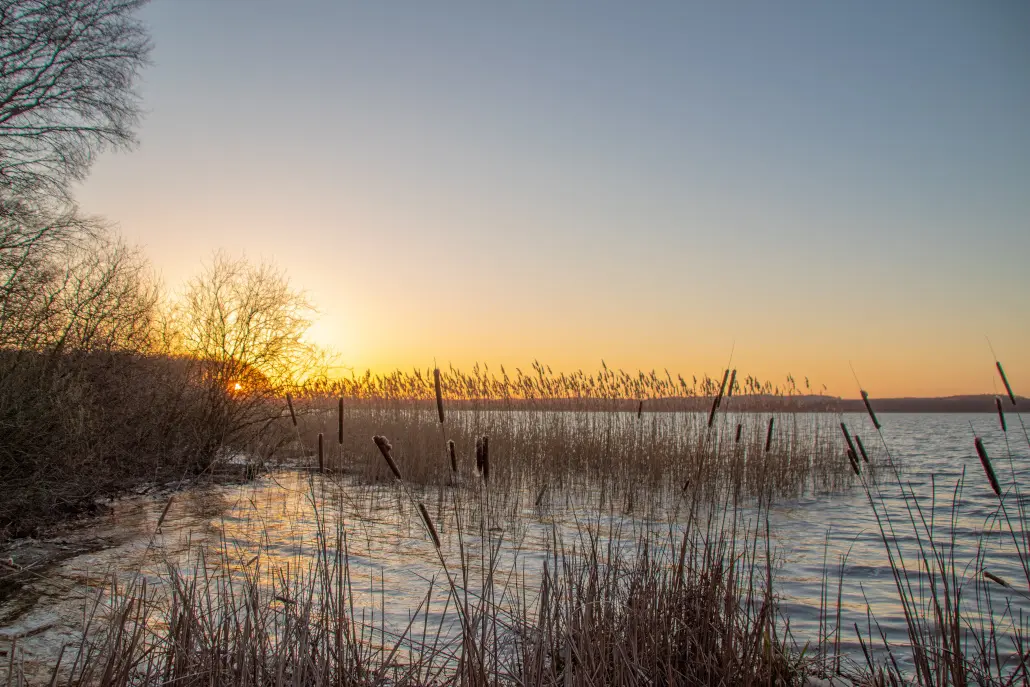 See; Malchiner See; Sonnenuntergang; Schilf
