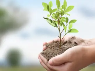 Klimaschutz, Umwelt
