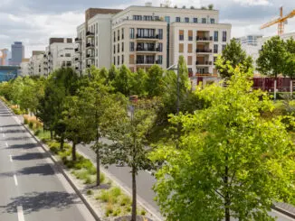Klimaresiliente Baumarten