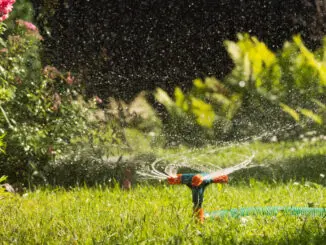 Wasserversorgung bei Hitze und Trockenheit