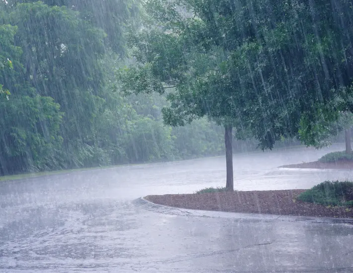 Regenwasserspeicher