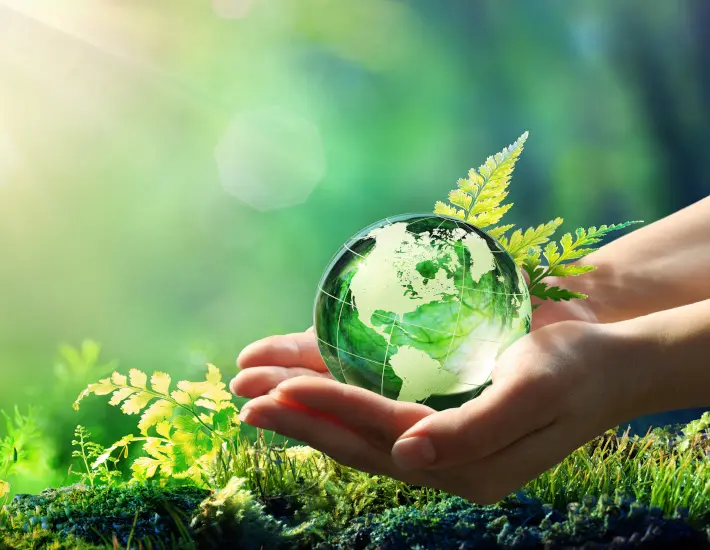 Klimaaktive Kommune 2025