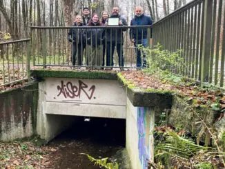 Hochwasserschutz in Arnsberg