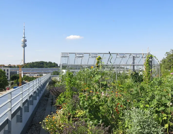 Klimaanpassung in München