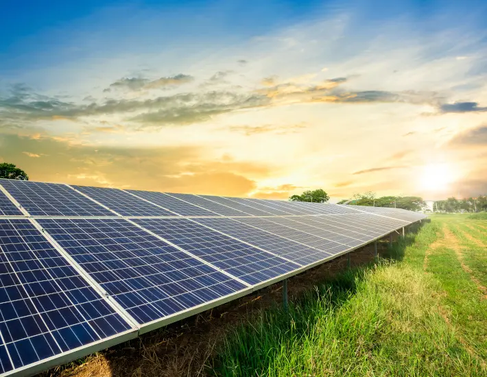 Umweltschonender Solarausbau
