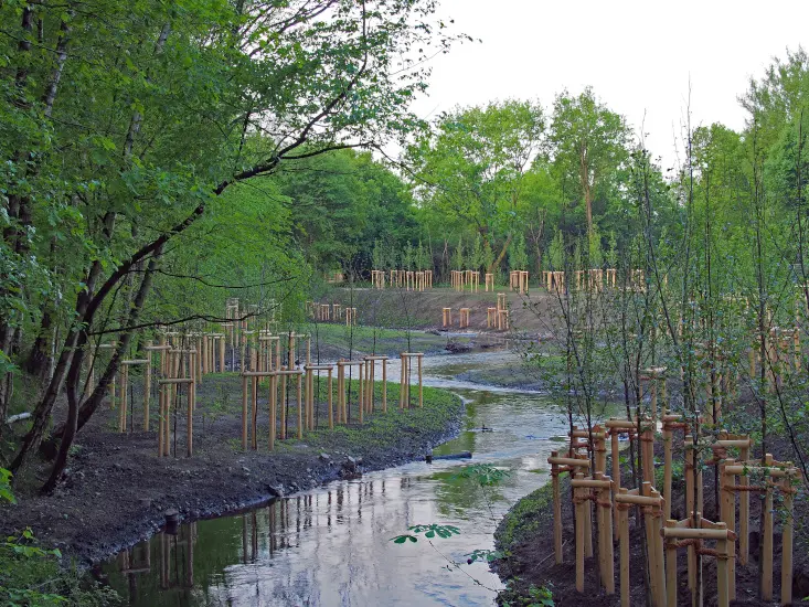 Naturnahe Stadtgewässer in Hamburg