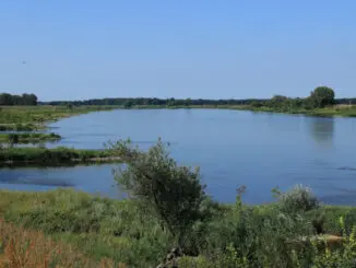 Naturschutzprojekt Mittelelbe – Schwarze Elster
