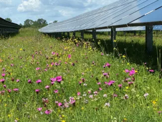 Solarenergie in Kommunen
