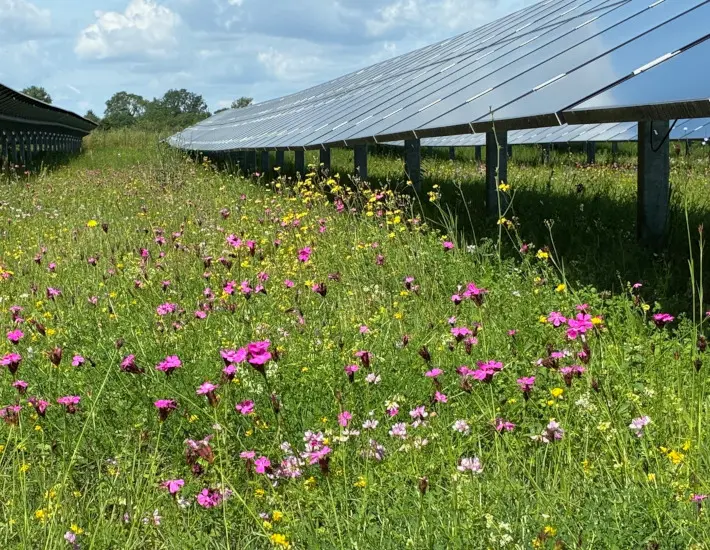 Solarenergie in Kommunen