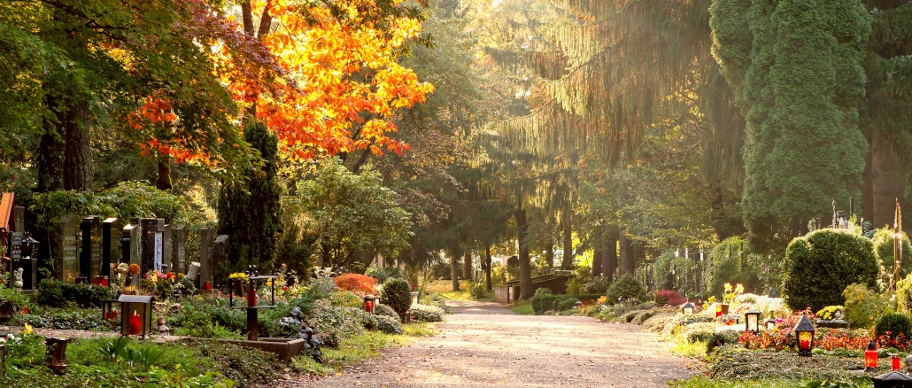 Friedhof