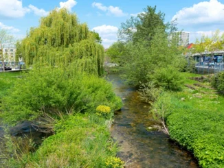 Regenwassermanagement