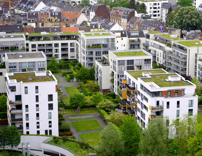 Schwammstadt