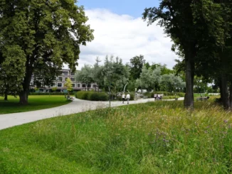 Förderung der Biodiversität