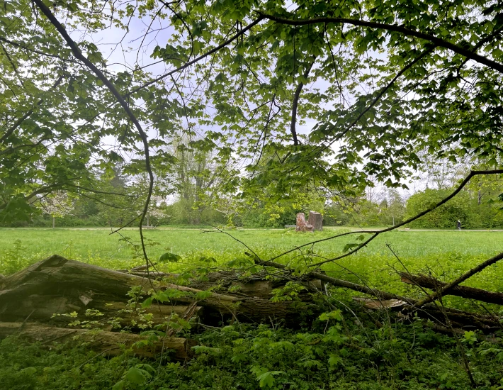 Förderung der Biodiversität