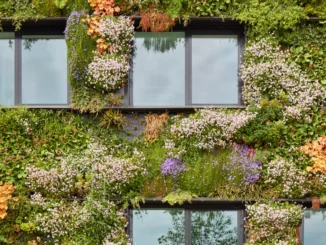 Potenzial für nachhaltiges Bauen