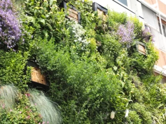 Wilde Klimawand