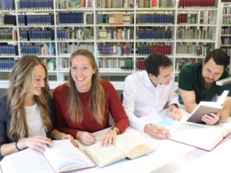 Verwaltungsinformatik